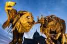 Macnas Halloween parade returns to Galway after four-year break