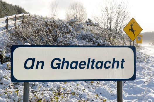 fada irish names protected