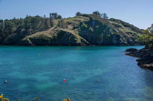 lough hyne cork swimming