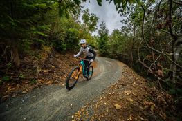 Kayaking, mountain-biking and kite-surfing – 15 outdoor activities to enjoy on your next Daycation